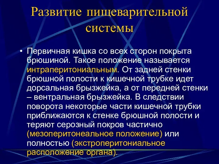 Развитие пищеварительной системы Первичная кишка со всех сторон покрыта брюшиной. Такое