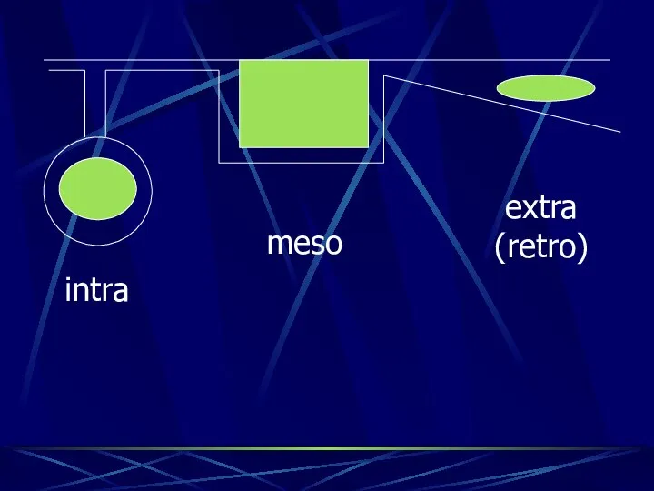 intra meso extra (retro)