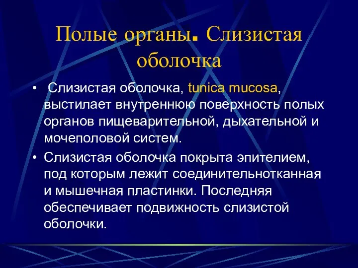 Полые органы. Слизистая оболочка Слизистая оболочка, tunica mucosa, выстилает внутреннюю поверхность