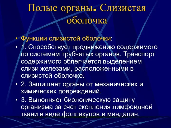 Полые органы. Слизистая оболочка Функции слизистой оболочки: 1. Способствует продвижению содержимого