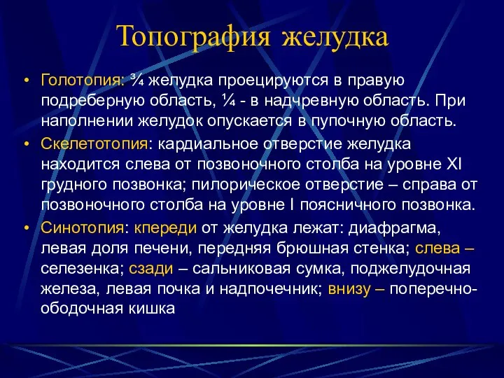 Топография желудка Голотопия: ¾ желудка проецируются в правую подреберную область, ¼