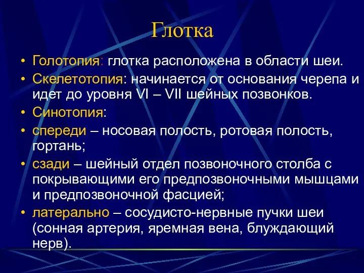 Глотка Голотопия: глотка расположена в области шеи. Скелетотопия: начинается от основания