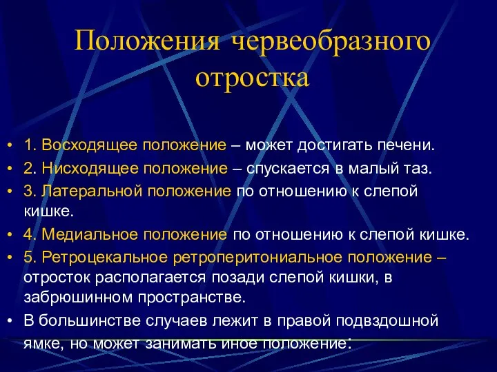 Положения червеобразного отростка 1. Восходящее положение – может достигать печени. 2.