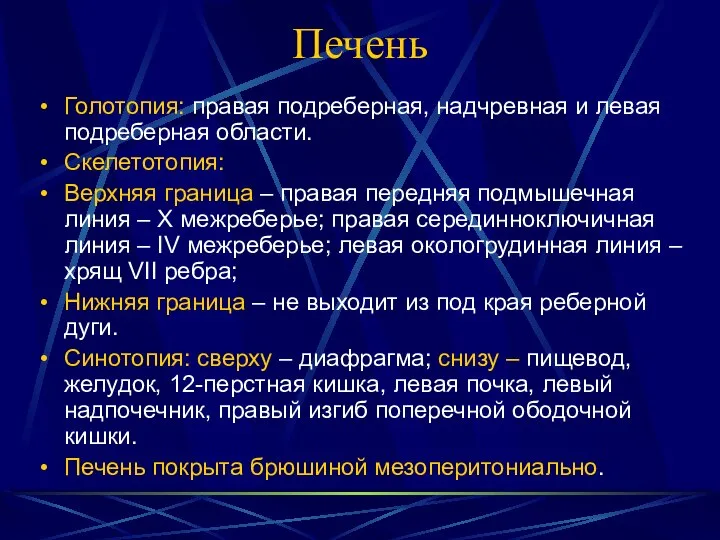 Печень Голотопия: правая подреберная, надчревная и левая подреберная области. Скелетотопия: Верхняя