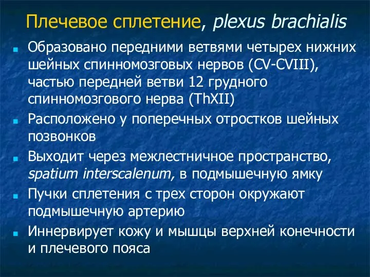 Плечевое сплетение, plexus brachialis Образовано передними ветвями четырех нижних шейных спинномозговых