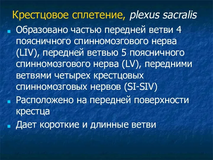 Крестцовое сплетение, plexus sacralis Образовано частью передней ветви 4 поясничного спинномозгового