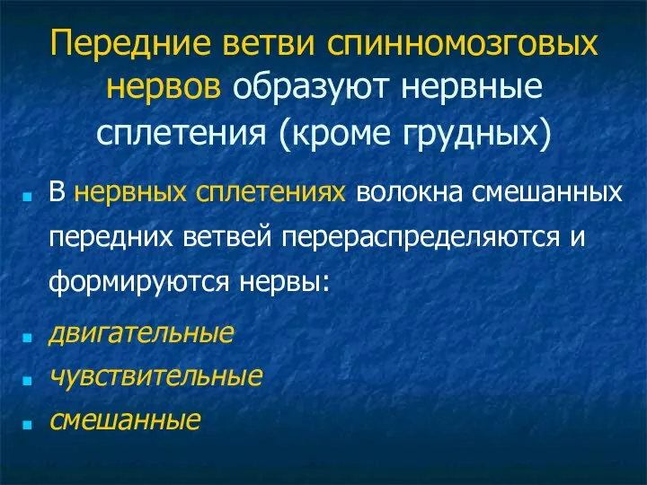 Передние ветви спинномозговых нервов образуют нервные сплетения (кроме грудных) В нервных