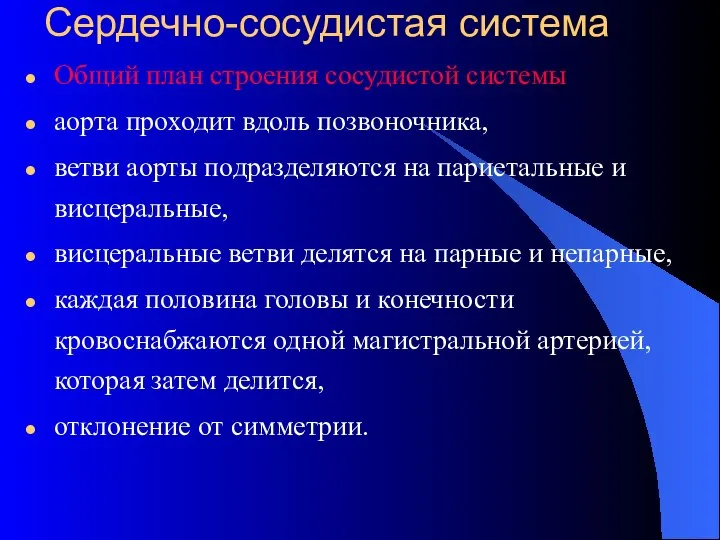 Сердечно-сосудистая система Общий план строения сосудистой системы аорта проходит вдоль позвоночника,