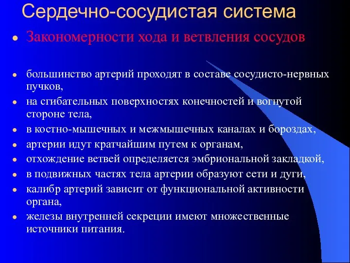 Сердечно-сосудистая система Закономерности хода и ветвления сосудов большинство артерий проходят в