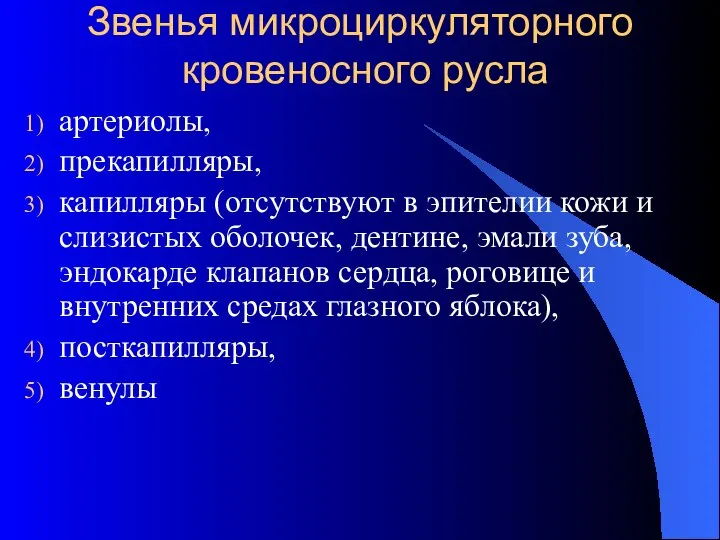 Звенья микроциркуляторного кровеносного русла артериолы, прекапилляры, капилляры (отсутствуют в эпителии кожи