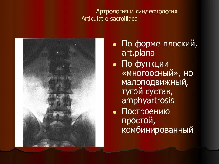 Артрология и синдесмология Articulatio sacroiliaсa По форме плоский, art.plana По функции