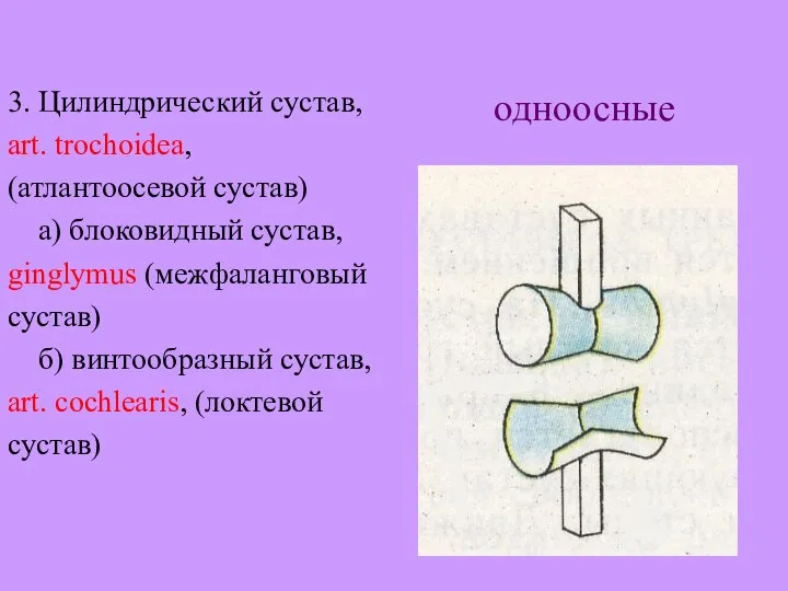 3. Цилиндрический сустав, art. trochoidea, (атлантоосевой сустав) а) блоковидный сустав, ginglymus