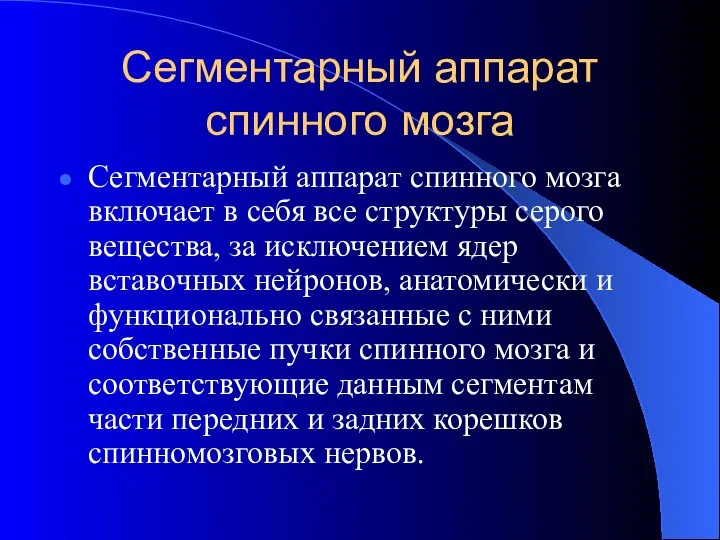 Сегментарный аппарат спинного мозга Сегментарный аппарат спинного мозга включает в себя