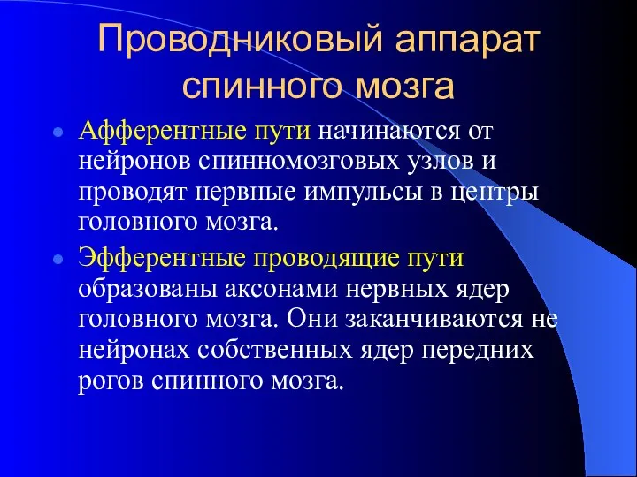 Проводниковый аппарат спинного мозга Афферентные пути начинаются от нейронов спинномозговых узлов