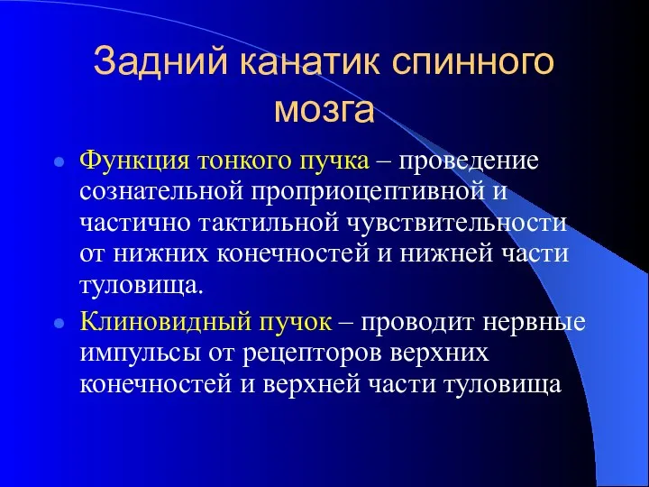 Задний канатик спинного мозга Функция тонкого пучка – проведение сознательной проприоцептивной