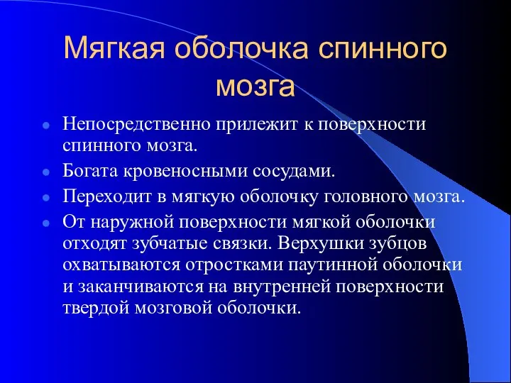 Мягкая оболочка спинного мозга Непосредственно прилежит к поверхности спинного мозга. Богата