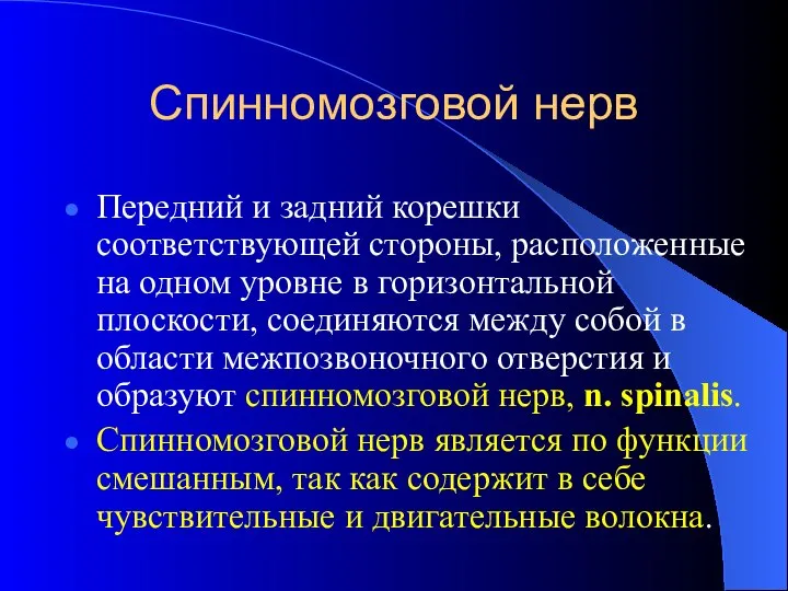 Спинномозговой нерв Передний и задний корешки соответствующей стороны, расположенные на одном