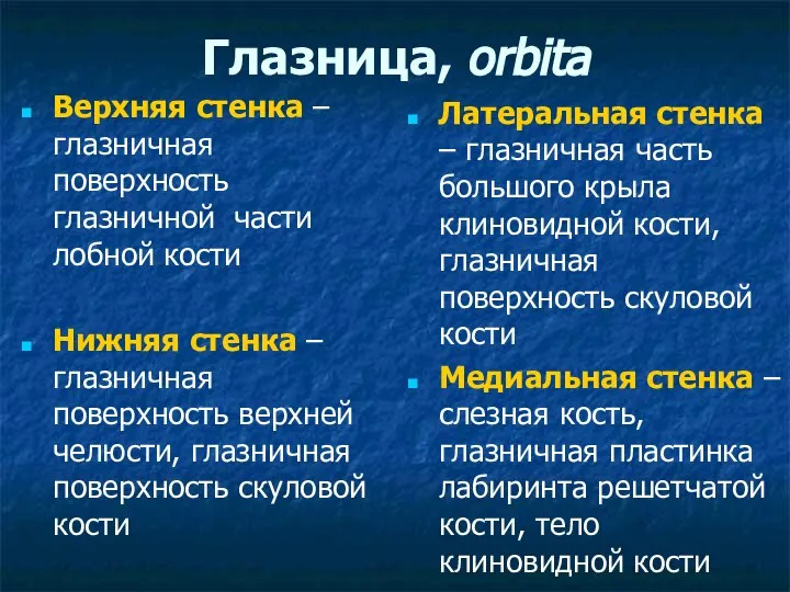 Глазницa, orbita Верхняя стенка – глазничная поверхность глазничной части лобной кости