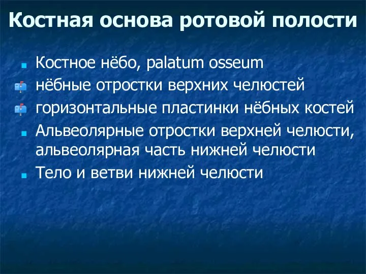 Костная основа ротовой полости Костное нёбо, palatum osseum нёбные отростки верхних