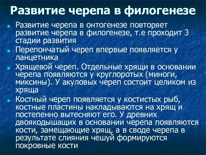 Развитие черепа в филогенезе Развитие черепа в онтогенезе повторяет развитие черепа