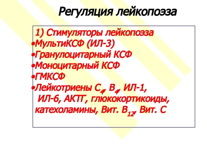 Регуляция лейкопоэза 1) Стимуляторы лейкопоэза МультиКСФ (ИЛ-3) Гранулоцитарный КСФ Моноцитарный КСФ