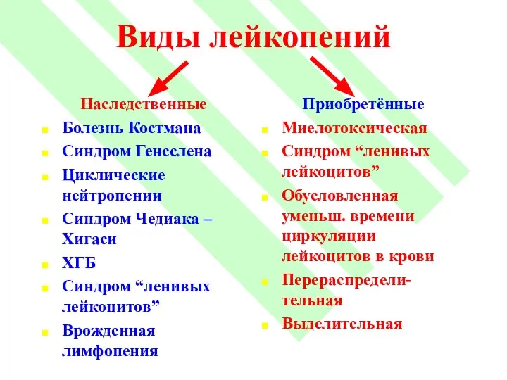 Виды лейкопений Наследственные Болезнь Костмана Синдром Генсслена Циклические нейтропении Синдром Чедиака