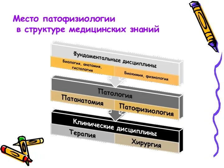 Место патофизиологии в структуре медицинских знаний