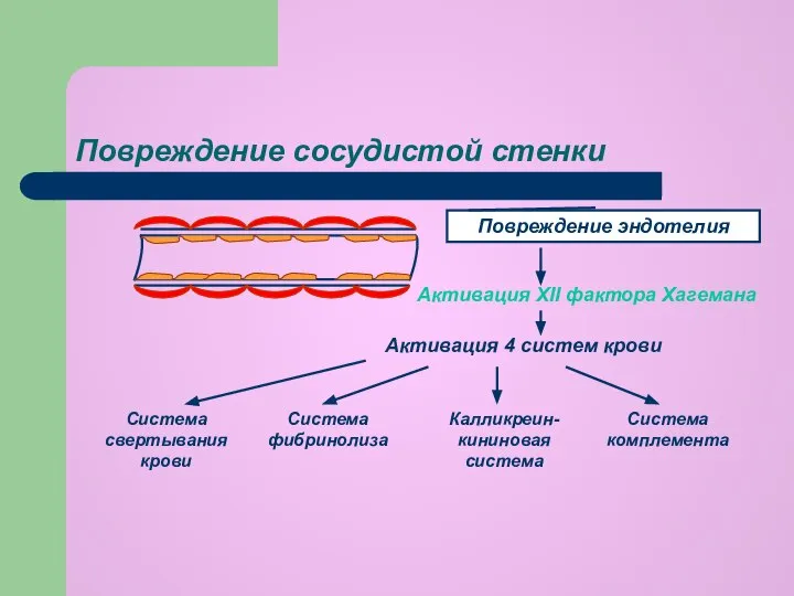 Повреждение сосудистой стенки Повреждение эндотелия Активация XII фактора Хагемана Активация 4