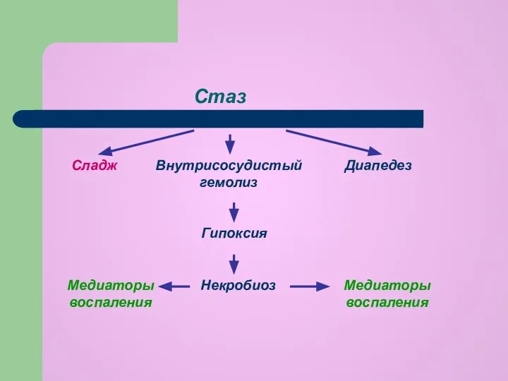 Стаз Сладж Внутрисосудистый гемолиз Диапедез Гипоксия Некробиоз Медиаторы воспаления Медиаторы воспаления