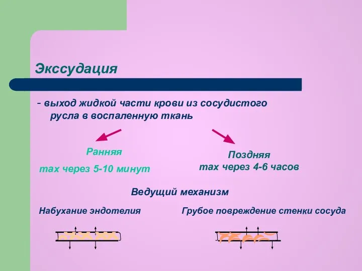 Экссудация - выход жидкой части крови из сосудистого русла в воспаленную