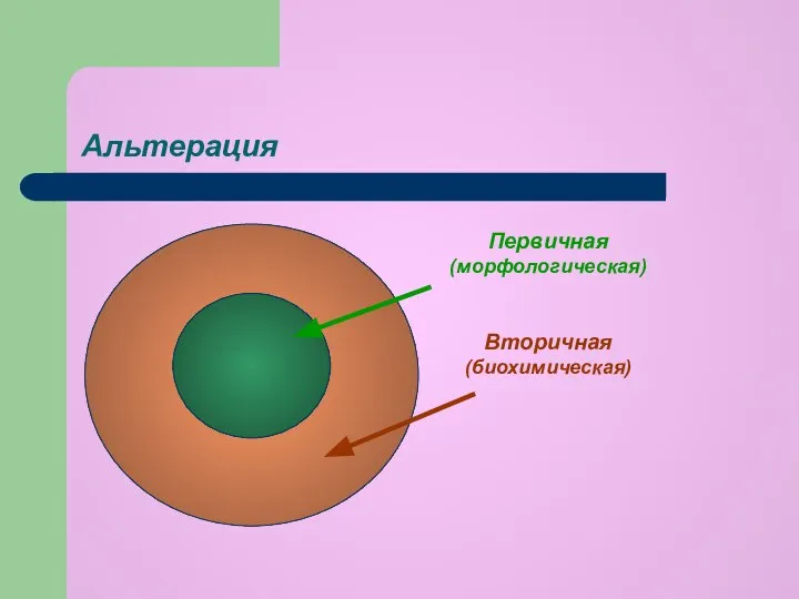 Альтерация Первичная (морфологическая) Вторичная (биохимическая)