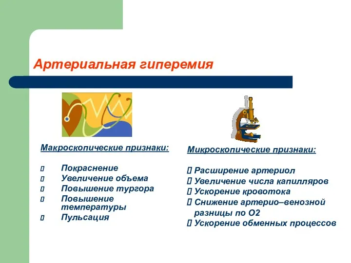 Артериальная гиперемия Макроскопические признаки: Покраснение Увеличение объема Повышение тургора Повышение температуры