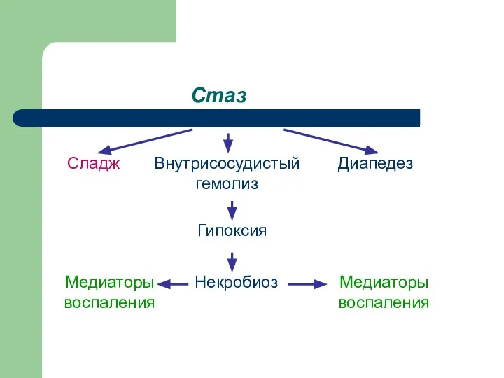 Стаз Сладж Внутрисосудистый гемолиз Диапедез Гипоксия Некробиоз Медиаторы воспаления Медиаторы воспаления