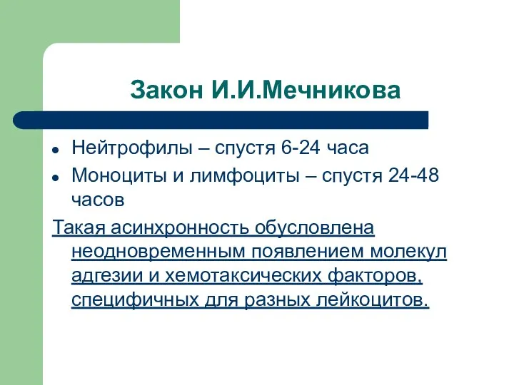 Закон И.И.Мечникова Нейтрофилы – спустя 6-24 часа Моноциты и лимфоциты –