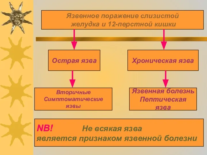 Язвенное поражение слизистой желудка и 12-перстной кишки Острая язва Хроническая язва