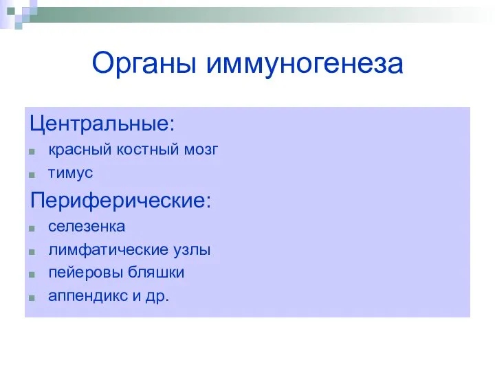 Органы иммуногенеза Центральные: красный костный мозг тимус Периферические: селезенка лимфатические узлы пейеровы бляшки аппендикс и др.