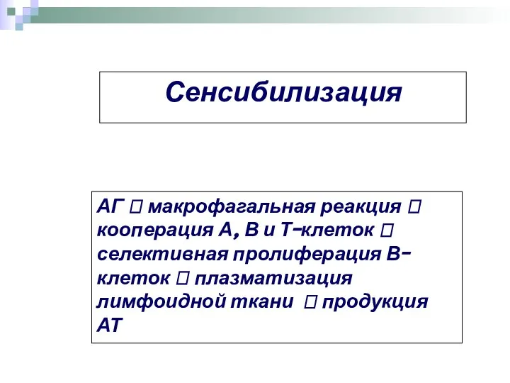 Сенсибилизация АГ ? макрофагальная реакция ? кооперация А, В и Т-клеток