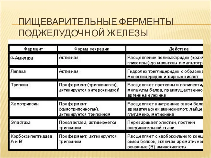 ПИЩЕВАРИТЕЛЬНЫЕ ФЕРМЕНТЫ ПОДЖЕЛУДОЧНОЙ ЖЕЛЕЗЫ