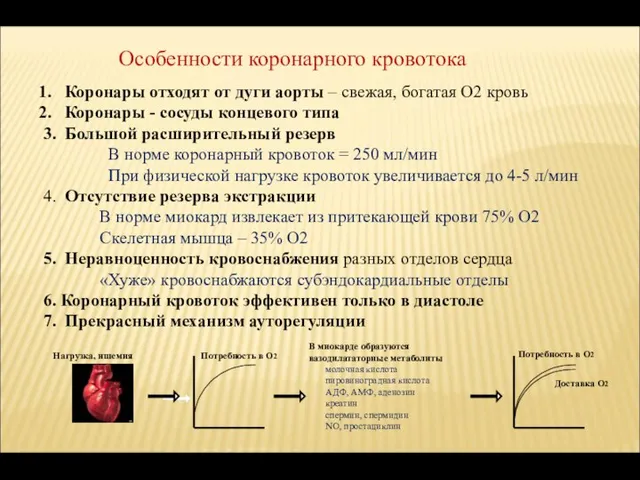 Особенности коронарного кровотока Коронары отходят от дуги аорты – свежая, богатая