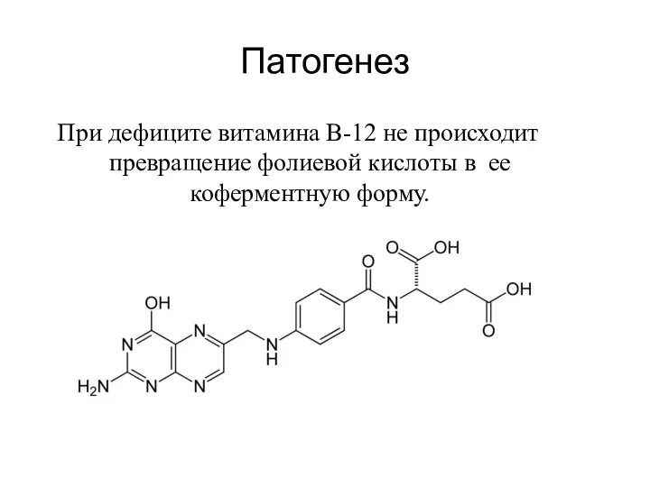 Патогенез При дефиците витамина В-12 не происходит превращение фолиевой кислоты в ее коферментную форму.