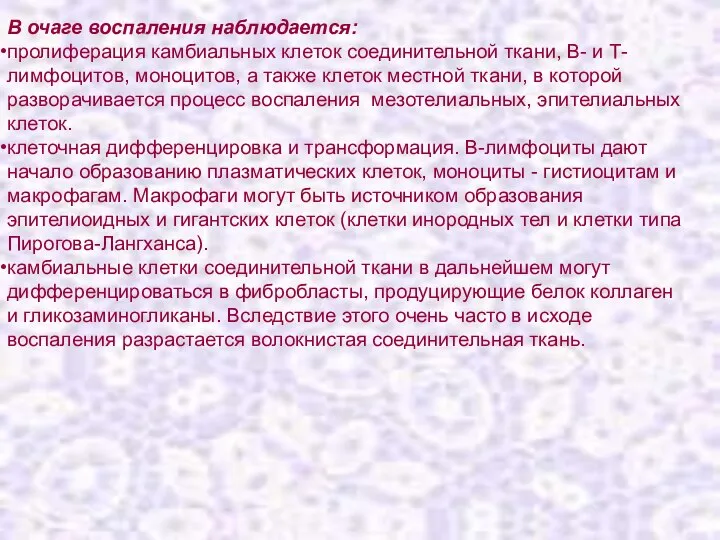 В очаге воспаления наблюдается: пролиферация камбиальных клеток соединительной ткани, В- и