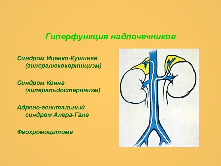 Гиперфункция надпочечников Синдром Иценко-Кушинга (гиперглюкокортицизм) Синдром Конна (гиперальдостеронизм) Адрено-генитальный синдром Апера-Гале Феохромоцитома