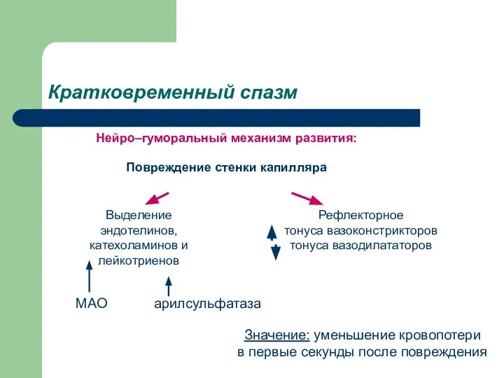 Кратковременный спазм Нейро–гуморальный механизм развития: Повреждение стенки капилляра Рефлекторное тонуса вазоконстрикторов