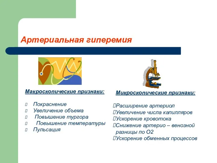 Артериальная гиперемия Макроскопические признаки: Покраснение Увеличение объема Повышение тургора Повышение температуры