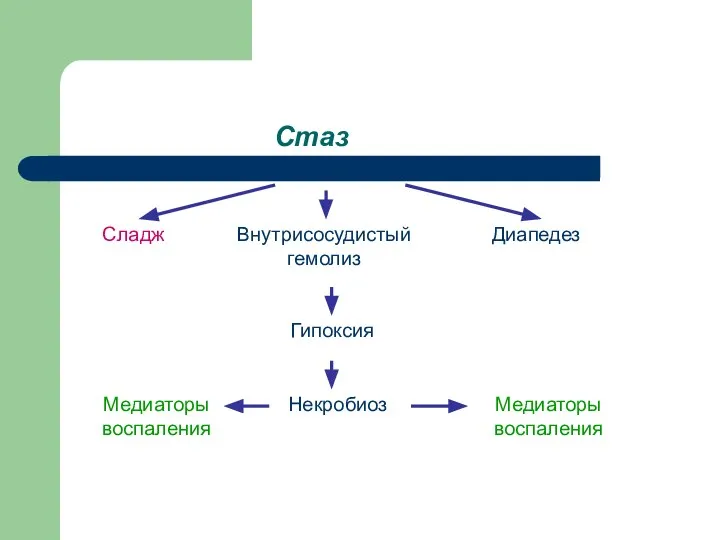 Стаз Сладж Внутрисосудистый гемолиз Диапедез Гипоксия Некробиоз Медиаторы воспаления Медиаторы воспаления