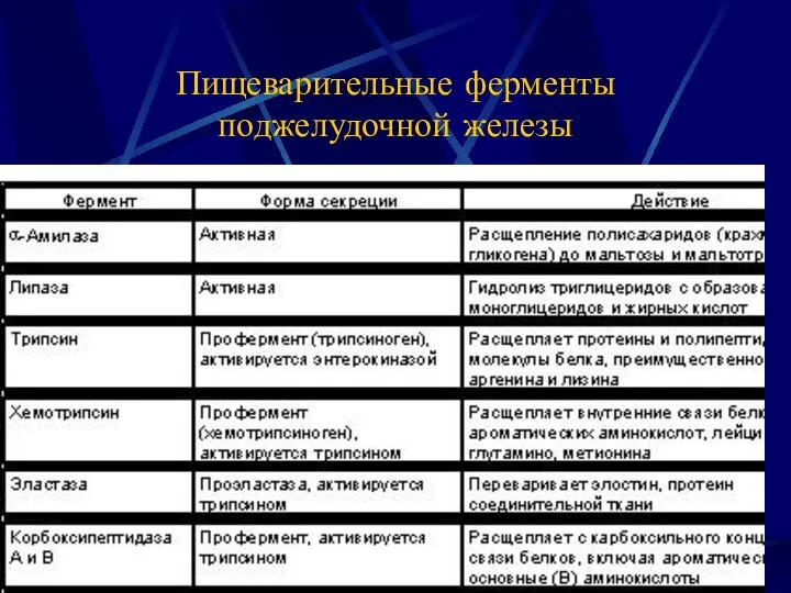 Пищеварительные ферменты поджелудочной железы