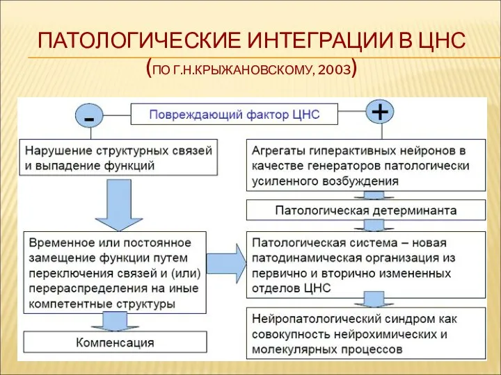 ПАТОЛОГИЧЕСКИЕ ИНТЕГРАЦИИ В ЦНС (ПО Г.Н.КРЫЖАНОВСКОМУ, 2003)