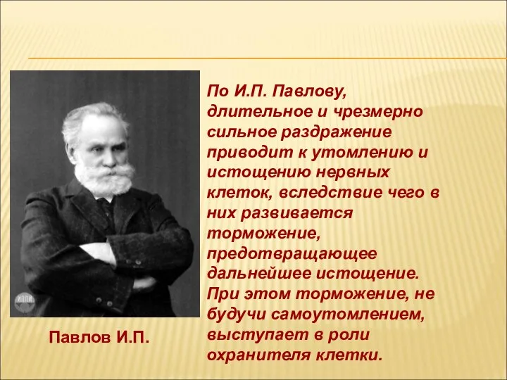 Павлов И.П. По И.П. Павлову, длительное и чрезмерно сильное раздражение приводит