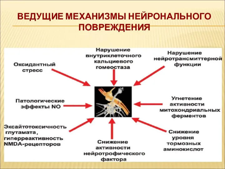 ВЕДУЩИЕ МЕХАНИЗМЫ НЕЙРОНАЛЬНОГО ПОВРЕЖДЕНИЯ