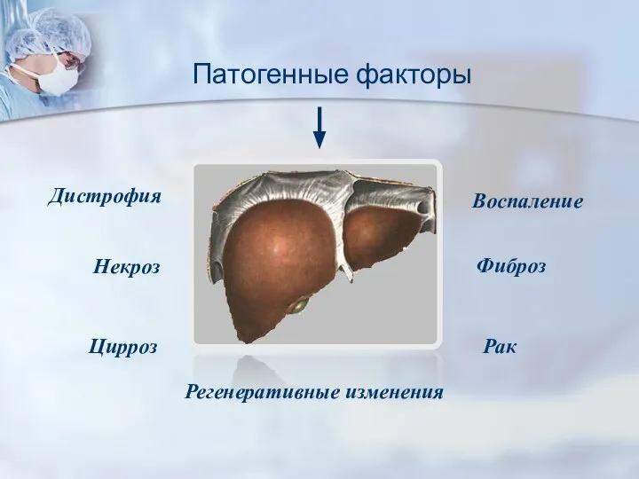 Патогенные факторы Дистрофия Воспаление Некроз Фиброз Цирроз Рак Регенеративные изменения